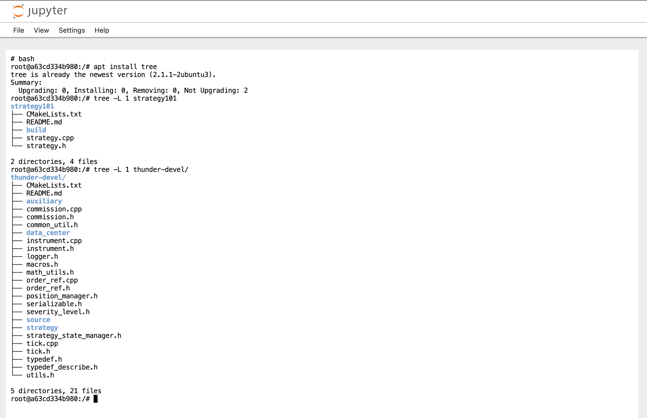 ../develstudio-using-terminal.png